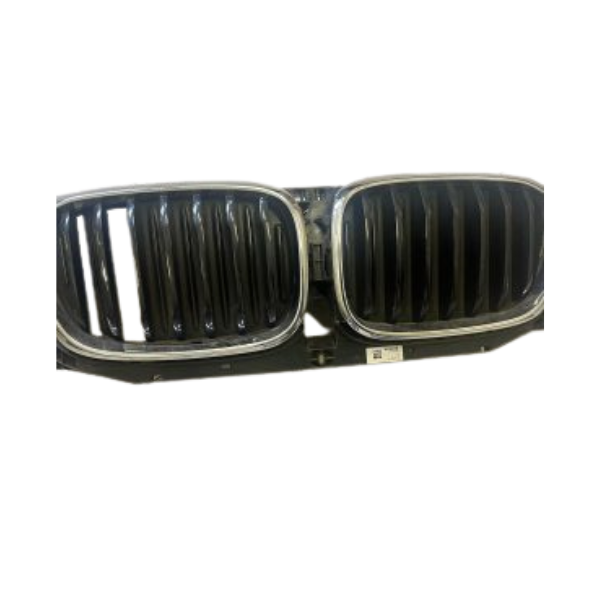 Bmw X3 G01 kidney grills